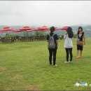 금와목장 이미지