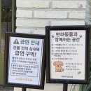 커피명가 - 안동시 관광단지로 346-52 | 청도 카페 커피명가 치즈케이크와 커피 후기