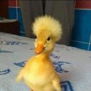 아이러브유(I.LOVE.YOU) 이미지