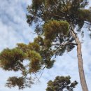 명재고택 | [충남 논산] 대전근교 가을 가볼만한 곳 <명재고택>