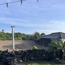 제주도 돌집 삼다헌 한동점 이미지