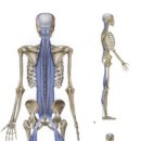 연희헬스 이미지