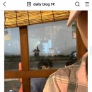 남포통닭 이미지