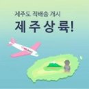 제주미트