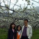 사슴이랑 배랑 농원 이미지