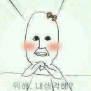 샤넬헤어커커 네이버블로그