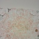 Fun Fun 영어 놀이터 (A) 이미지