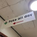 올데이펫 이미지