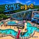 푸드오 | [강원도 홍천] '오션월드' 미들 시즌 티켓 구매, 시설, 식당, 오픈런, 이용객 수 솔직 리뷰 (1탄 - 기타...