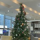 청담병원 | 청담힐요양병원 입원 후기 (내돈내산)