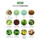 하곡외 | 피트라인 탑쉐이프 topshape 내돈 내산 후기