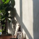 정성국수 이미지