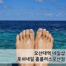 홈플러스 진주점 | 오산네일샵 포쉬네일 홈플러스 오산점 진주펄 발젤 후기
