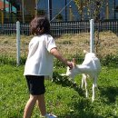 칠갑산 목장 이미지