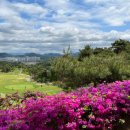 힐데스하임CC(대중제)-킹즈락cc 이미지