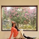 남원읍-65 | 서귀포 남원 겨울제주가볼만한곳 동백포레스트 2월초 추천 후기