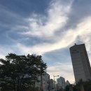 아빠스시& 사시미 이미지