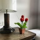 파라다이스 당구클럽 이미지