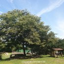 초록산등산로 이미지