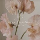 혀니네 | 가성비 촬영부케 추천 크러쉬온플라워 (혀니웨딩 제휴업체 후기/짝꿍코드 공유)