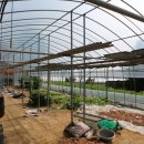 천지원 농장 이미지