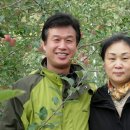 동구밖과수원 이미지