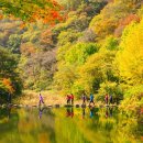 제297차 고창 선운산(풍천장어)낙엽 산행안내(11월23일) 이미지