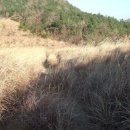 탑골목장 이미지