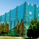 TOP골프연습장 이미지