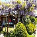 바다로 가는 길목 이미지