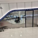 눈으로 먹고 즐기는 이탈리아 오페라 여행 | 2일차 | 시드니 반나절 경유 자유여행 공항에서 시내가는법 오페라하우스 보고오기