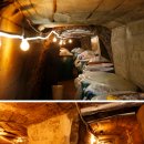 광천토굴육젓 이미지