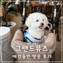 그랜드 | 경기 광주 브런치 카페｜그랜드뮤즈 신현동본점 애견동반 방문 후기