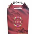 황금충초