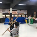 용인대 수 합기도 이미지