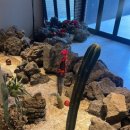 교동면옥 경북의성점 이미지