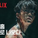 그린 (212) 이미지