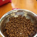 우리축산약품 이미지