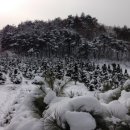 무내미농장 이미지