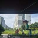 투썸플레이스 강남자곡점 | 재방문의사 없는 투썸플레이스 자곡 강남점 말차 솔직 후기