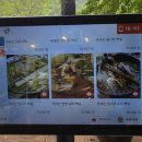 애룡원두막 | 비 오는 날 더 맛있는 파주 법원읍 맛집 ‘애룡원두막’ 닭볶음탕 &amp; 파전의 완벽한 조합!