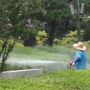 용두산공원 광장 이미지