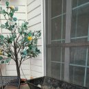 언덕위의하얀민박 이미지