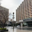 삼봉로 | [단양] 아기랑 단양 소노벨 '리조트 패밀리 스탠다드 취사 EAST' 내돈 내산 솔직 후기