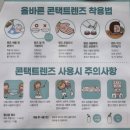 다비치안경체인 | [세종안경] 정확한 시력 검사 및 친절한 가성비 좋은 안경점 추천, 다비치안경 조치원점 솔직 후기