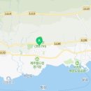 효돈약국 이미지