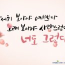 자세히 보아야 예쁘다 이미지