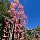 효령로 59-7 이미지