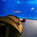 금호펜션 이미지