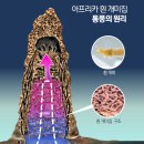 아프리카에어컨